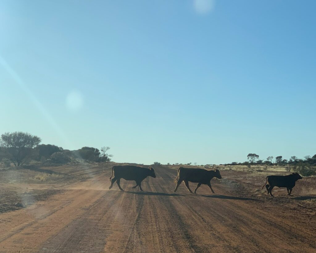 Finke